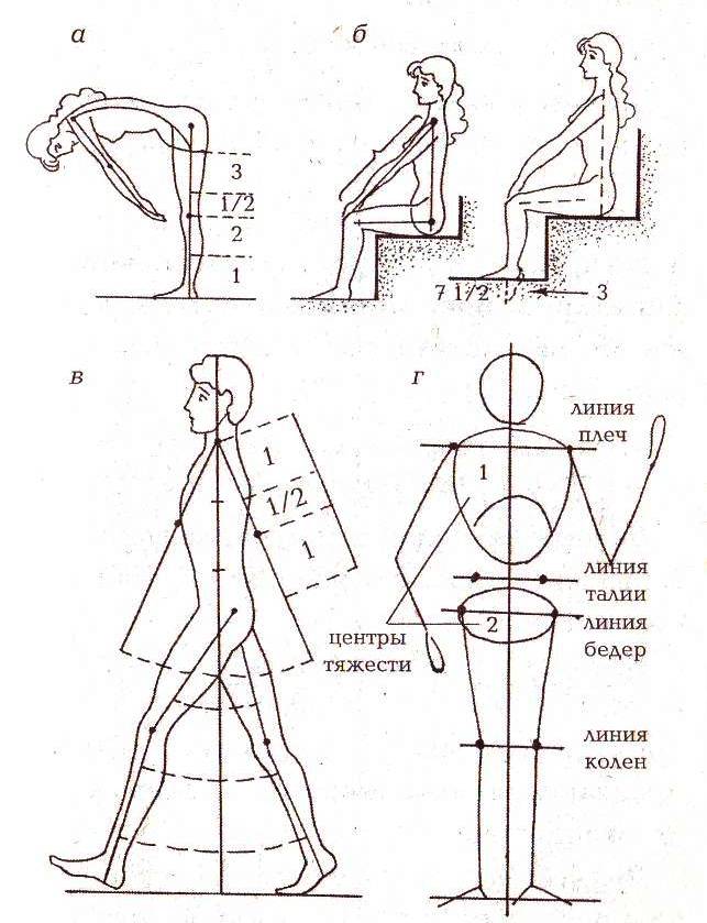 Фигура человека название. Схема фигуры человека в движении. Конструирование линии фигуры человека. Фигура человека динамика. Система рисования человека.